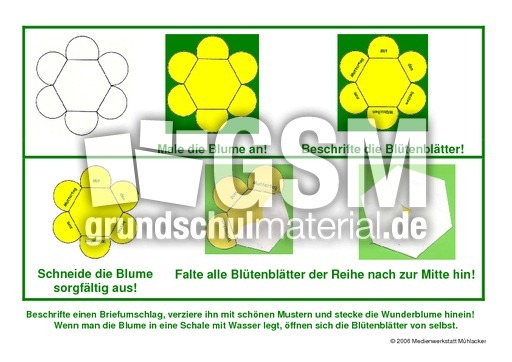 Beschreibung-fuer-Wunderblumen.pdf